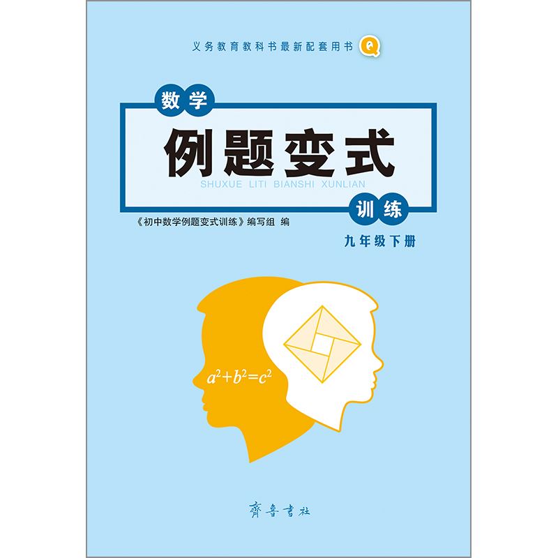 山东齐鲁书社出版有限公司_变式训练  青岛  九年级下册